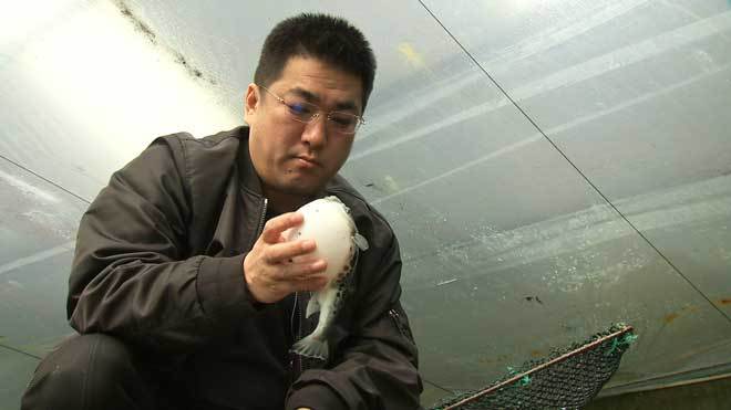 致富经 [致富经]被父亲逼回老家 4年后年赚2000多万元 20190605