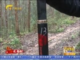 广西新闻 《广西新闻》 20160218