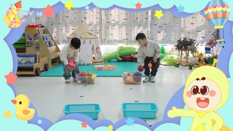 小小智慧树 《小小智慧树》 20251124