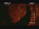 动物世界 《动物世界》 20141026 不好惹的大块头（五）