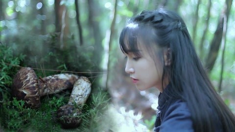 李子柒古香古食 如精灵般的食材——松茸