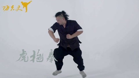 中国功夫史 金刚八式7虎抱拳