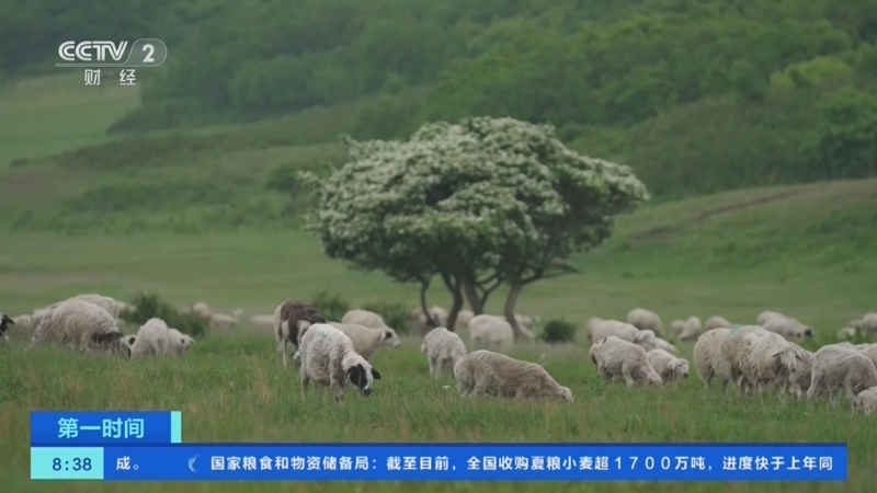 《第一时间》 20250614 2/2