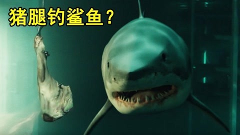 唐唐说电影：猪腿钓鲨鱼