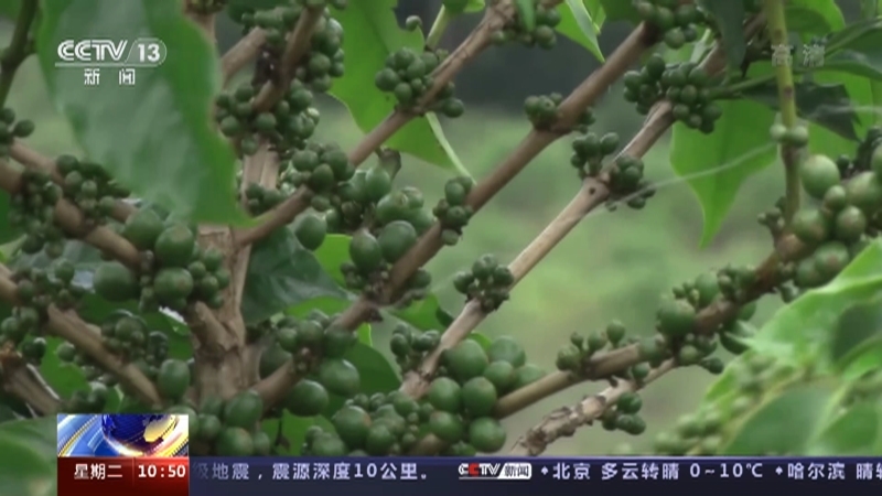 新闻直播间 《新闻直播间》 20221122 10:00