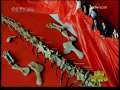 新闻袋袋裤 新闻袋袋裤 2009年 第197期