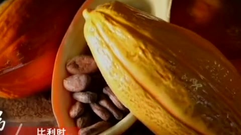 四海漫游 北京与比利时的美味战争
