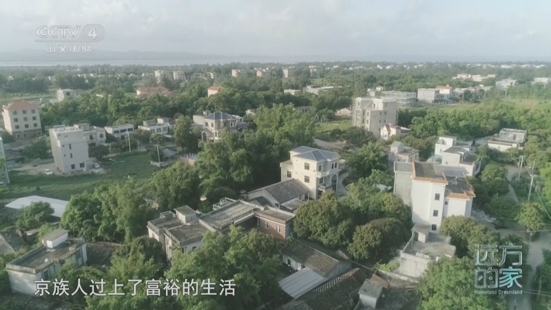 远方的家 《远方的家》 20250704 海与城的交响 碧海金滩 自然馈赠