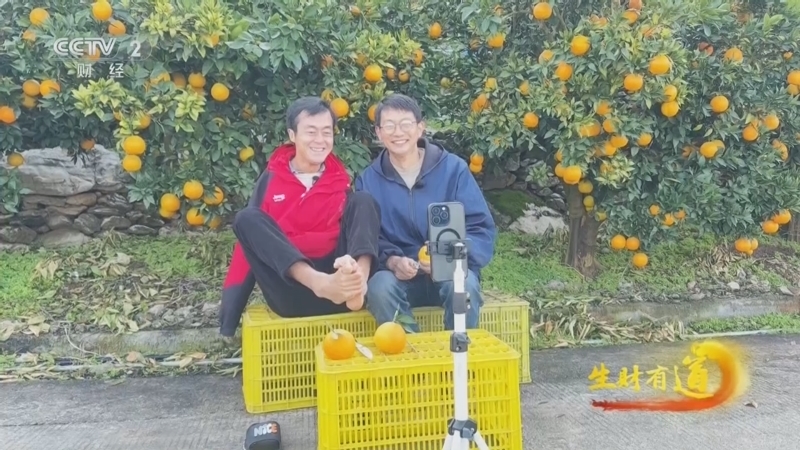 生财有道 《生财有道》 20251201 坚韧前行在身边：没有手的带货王