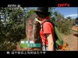 远方的家 《边疆行》第16集 一城连三国《远方的家》20110801
