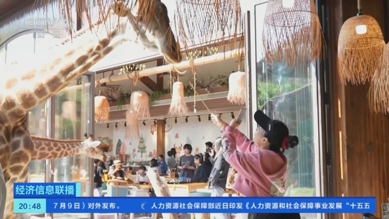 经济信息联播 《经济信息联播》 20260709