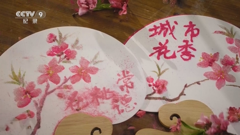 《城市花季》 第3集 常德桃花