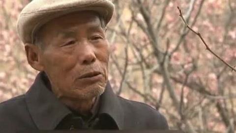 经典传奇 疯狂的宝藏