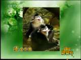 新闻袋袋裤 新闻袋袋裤 2010年 第301期
