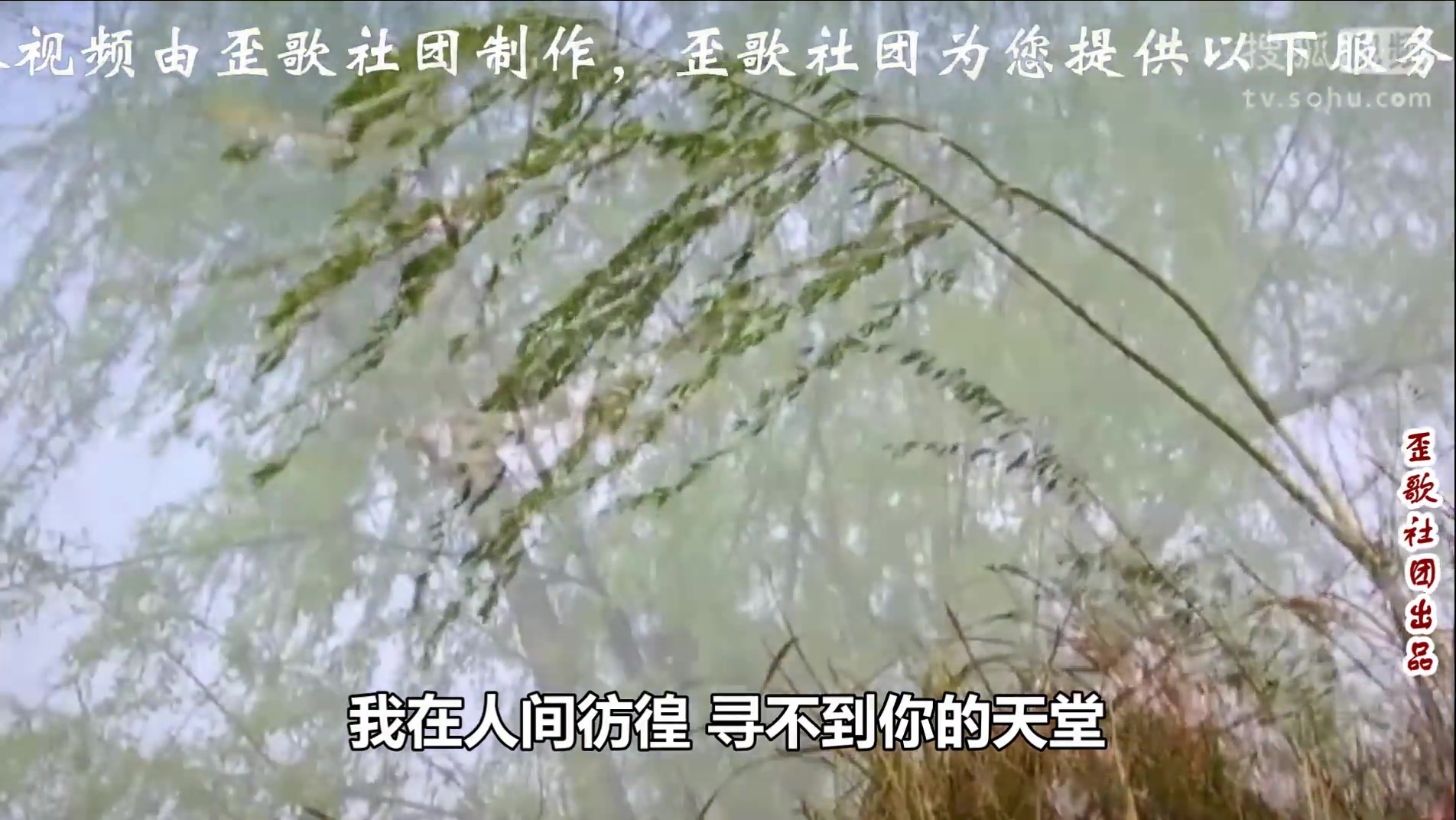 歪歌社团 神作！变曲不变词演绎《清明雨上》