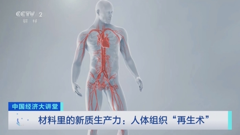 中国经济大讲堂 《中国经济大讲堂》 20240908 材料里的新质生产力：人体组织“再生术”