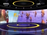 中国电影报道 《中国电影报道》 20170121