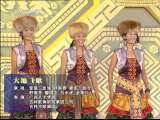 风华国乐 风华国乐 2010年 第171期