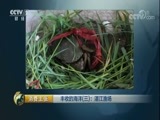 消费主张 《消费主张》 20170920 丰收的海洋（三）：湛江渔场