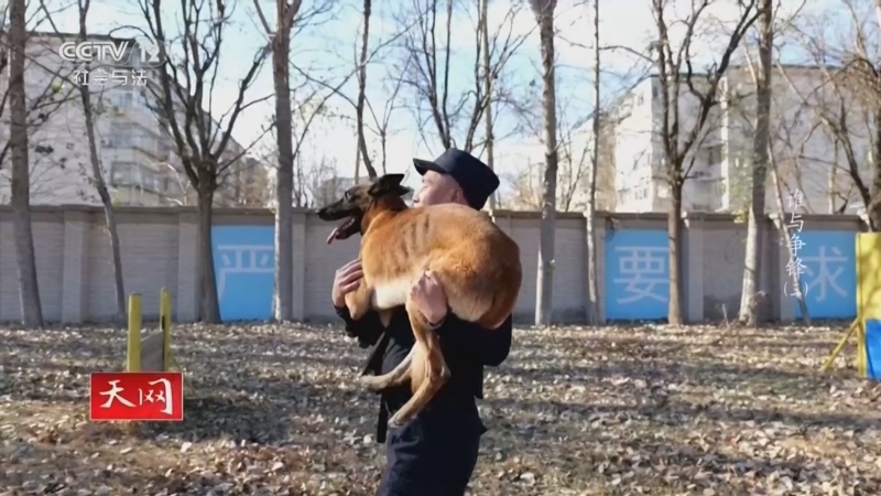 《天网》 20260101 谁与争锋（3）