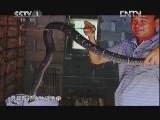 状元360 《旗鼓相当》  20121025 蛇王争霸