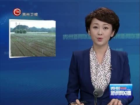 贵州新闻联播 《贵州新闻联播》 20141029