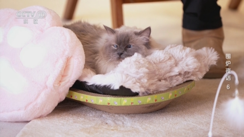 《围炉夜话》 20260222