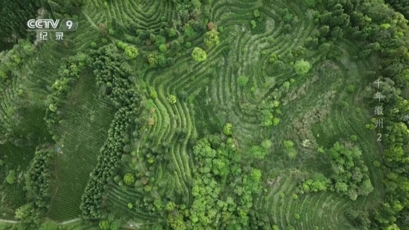 《千年徽州》 第2集 成长的聚落