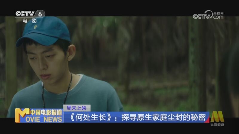 中国电影报道 《电影快讯》 20240830