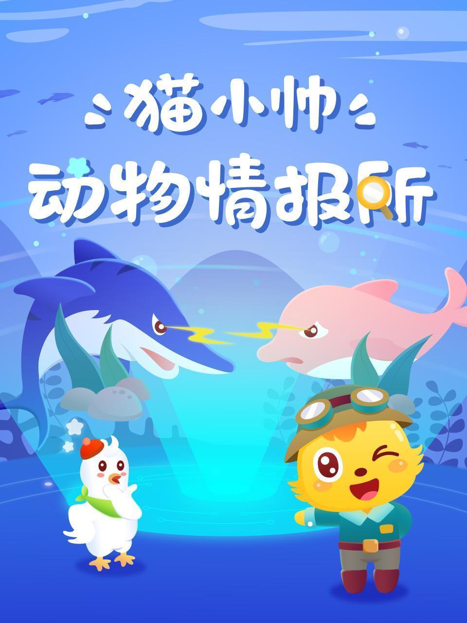 猫小帅动物情报所