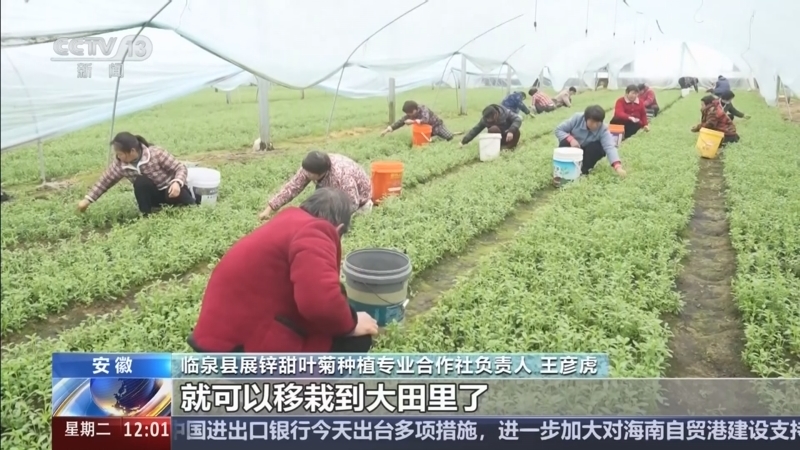 《新闻30分》 20260303