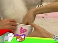 狗狗日记 第241天 Alpha做脚模