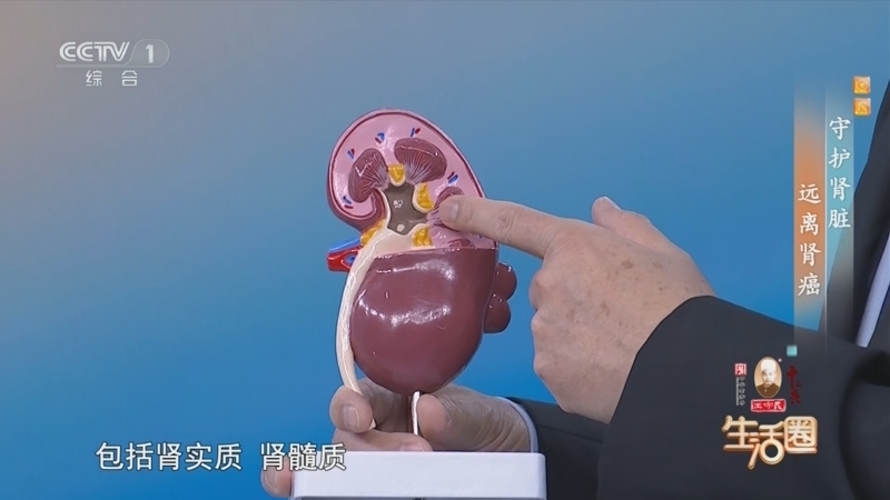 生活圈 《生活圈》 20260109 守护肾脏 远离肾癌