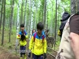 绿野寻踪 《绿野寻踪》 20161109