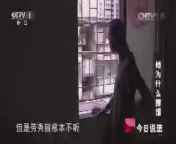 今日说法 《今日说法》 20140729 她为什么撒谎