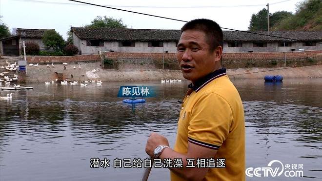 致富经 [致富经]他在无人问津的水库 水上水下都赚钱 20180528