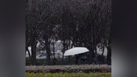 11月最后一天，武汉市迎来初雪