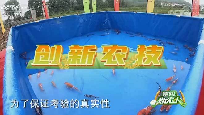 超级新农人 《超级新农人》 20201011 第八站 赤壁