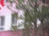 小小智慧树 《小小智慧树》 20180226