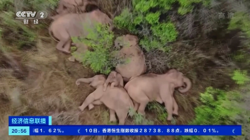 《经济信息联播》 20210610