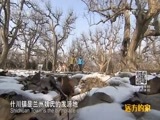 远方的家 《远方的家》长城内外 第115集 丹霞绚烂 瓜果飘香 20160401