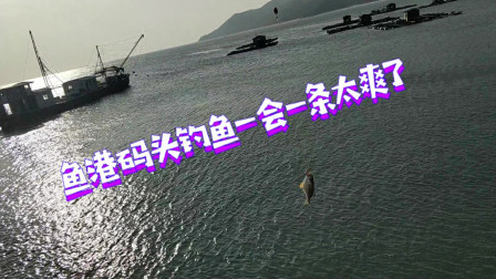 南澳岛赶海日记 南澳岛是个海钓的好地方，香头跟石斑上不停，激动坏了
