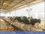 广西新闻 《广西新闻》 20170218