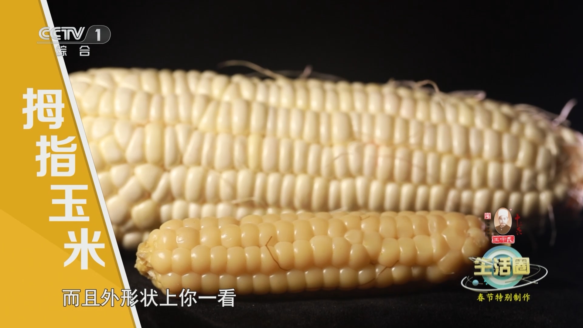 生活圈 《生活圈》 20240220 春节特别制作 健康大拜年