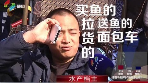 小强热线 小强热线20140124