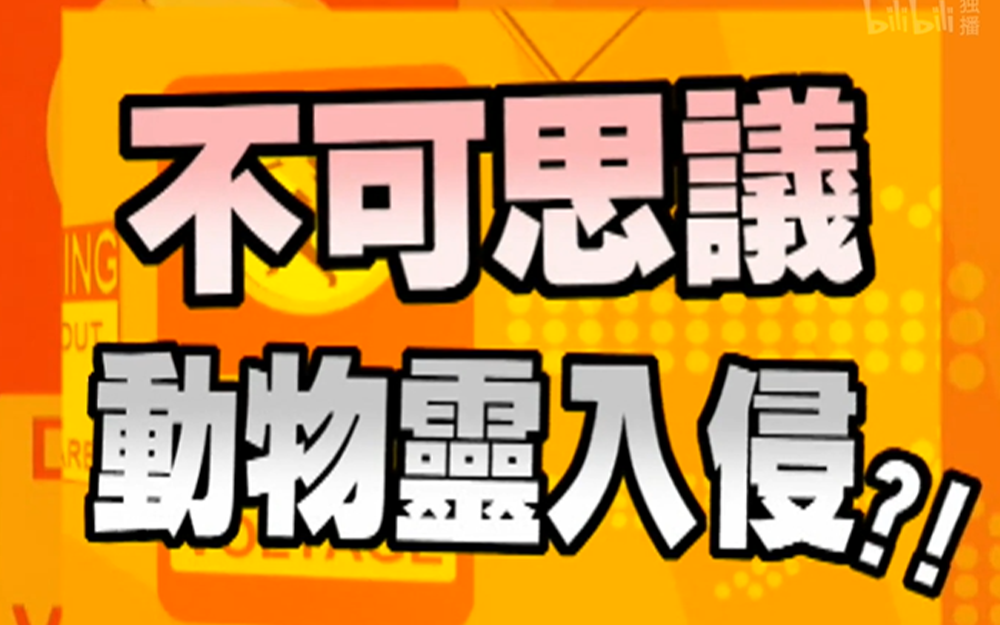 这些东西每个人可能都遇到过