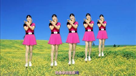 广场舞《我是你的格桑花》柔里带钢，简单好看附分解