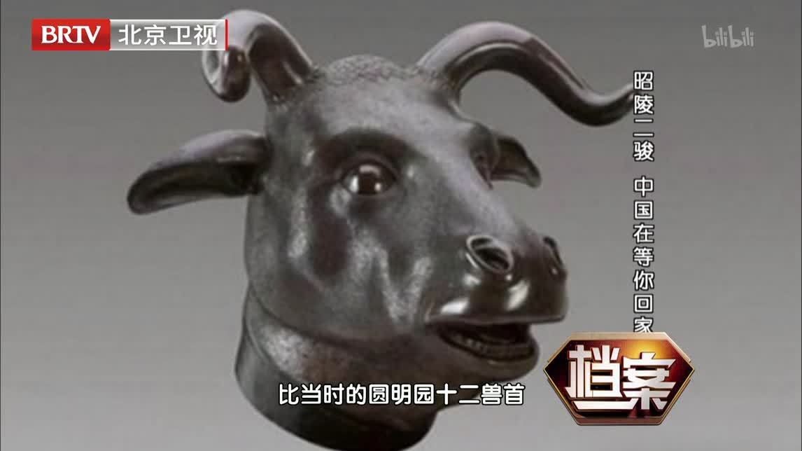 档案 昭陵二骏 中国在等你回家