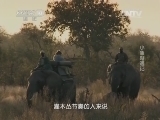 自然传奇 《自然传奇》 20141218 小象奇遇记