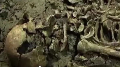 经典传奇 新石器时代遗骨穿越千年 碎陶片牵出墓地之谜